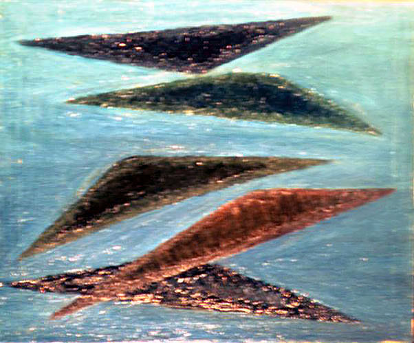 "Flight" birds painting by Dumitru Verdianu