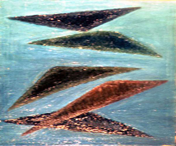 birds painting for sale "Flight" (oil on canvas) - by Dumitru Verdianu