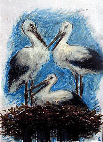 birds graphics for sale "Three Storks" - by Dumitru Verdianu